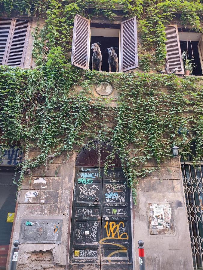 La Fenice Monti Rom
